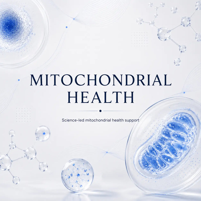 Mitochondrial health in focus