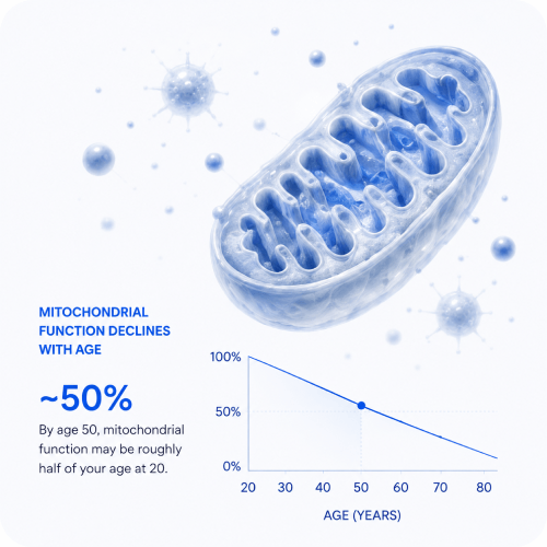 Your mitochondria are degrading